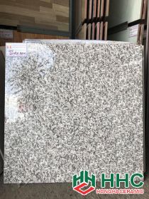 Gạch lát nền 60x60 bóng kiếng 66020hhm